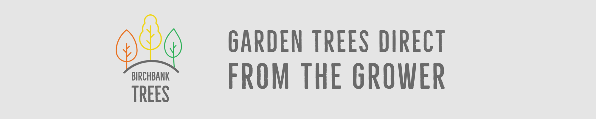 Birchbank trees - direct from the grower